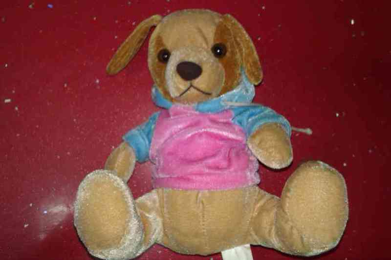 Peluche perrito chandal