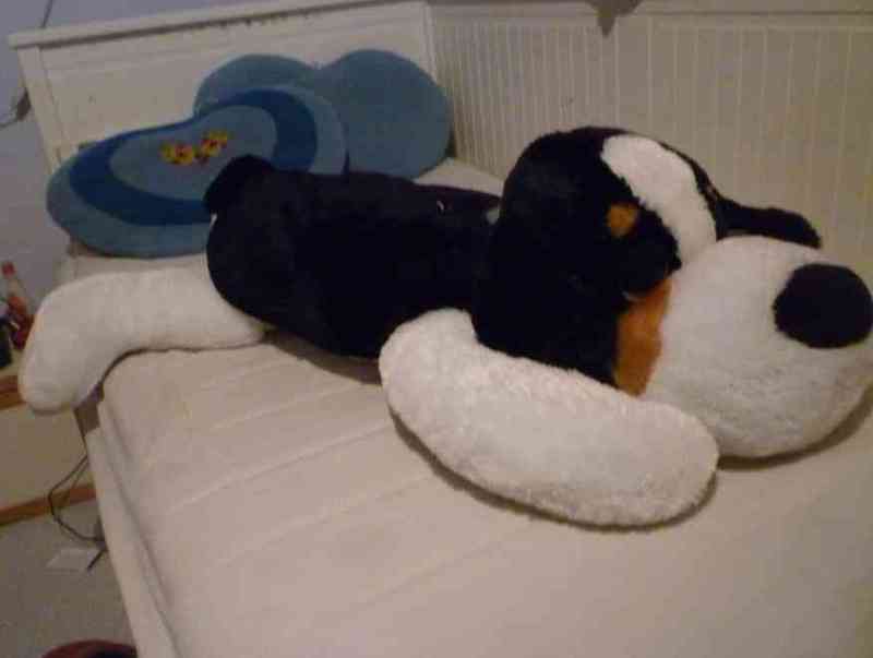 Regalo peluche grande