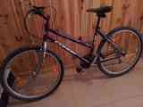 Regalo bicicleta
