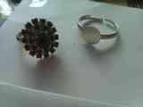 Anillos........leo