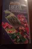 Pelicula vhs fantasia 2000