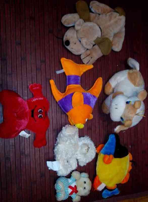 Regalo peluches!