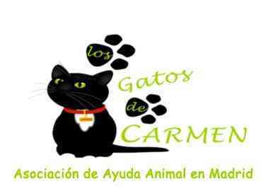 Ayuda urgente por favor!!