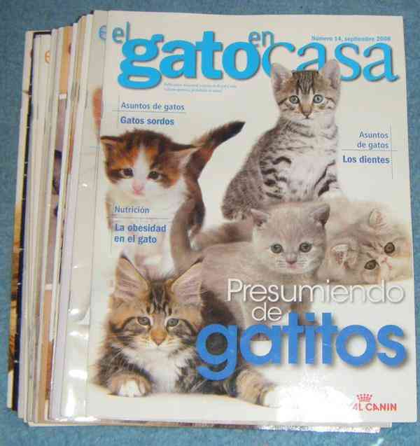 Revistas de gatitos.