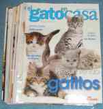 Revistas de gatitos.