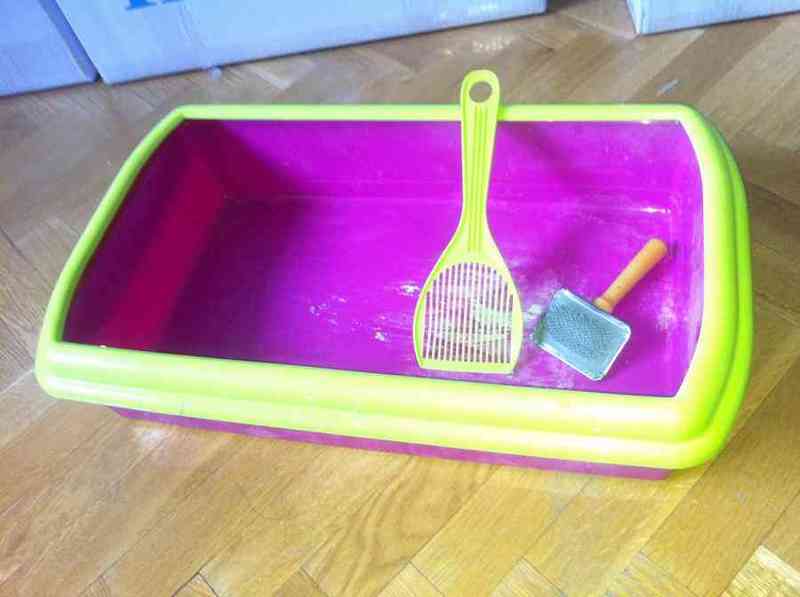 Arenero, cepillo, bolsa viaje gato