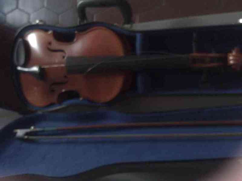 Violín con estuche