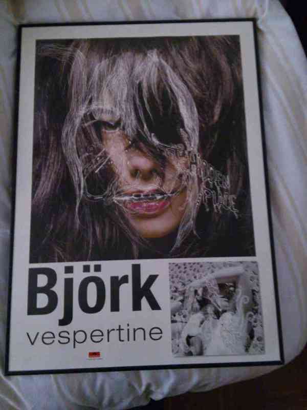 Poster de bjork