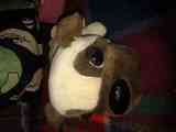 Regalo peluche