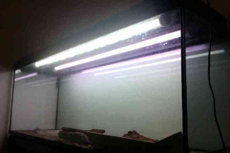 Acuario extra-grande