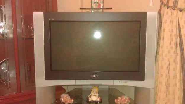 Regalo tv de cabezota