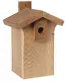 Busco cajas nido para aves