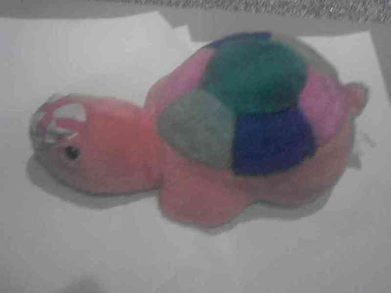 Peluche 2-- tortuga colores