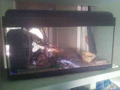 Acuario / terrario 90 litros