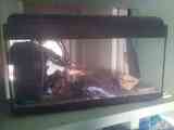 Acuario / terrario 90 litros