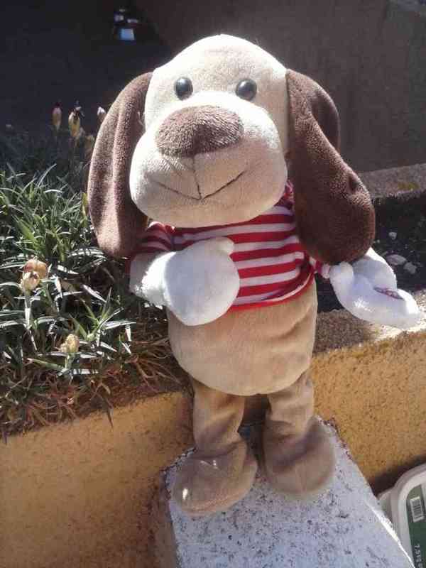 Peluche cantarin