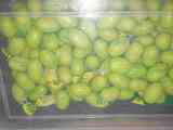 Melones de chicle