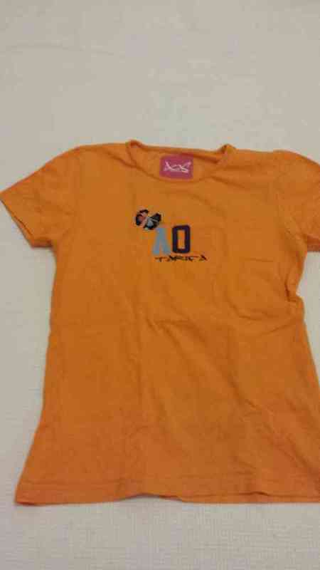 N 91 camiseta talla 10(antespepe1945)