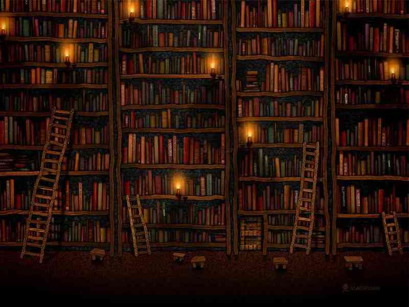 Lote libros! novelas,enciclopedias,didácticos..