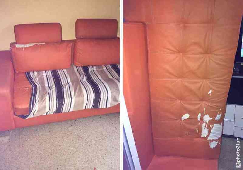 Regalo cheslonge grande polipiel