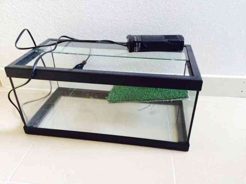 Regalo acuario tortuguera pequeña + depuradora