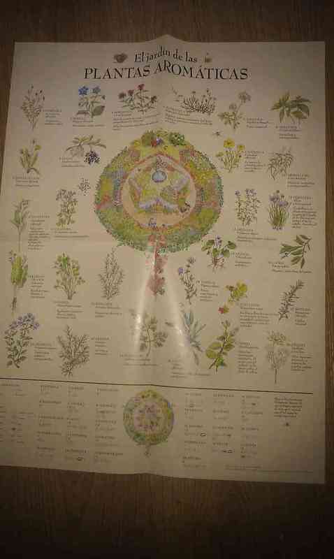 Poster plantas aromaticas