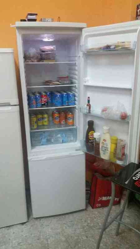 BUSCAMOS FRIGORIFICO GRANDE AVISENOS 