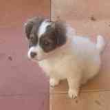 Busco muebles de jardin gratis 