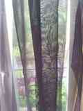 Cortinas negro transparente