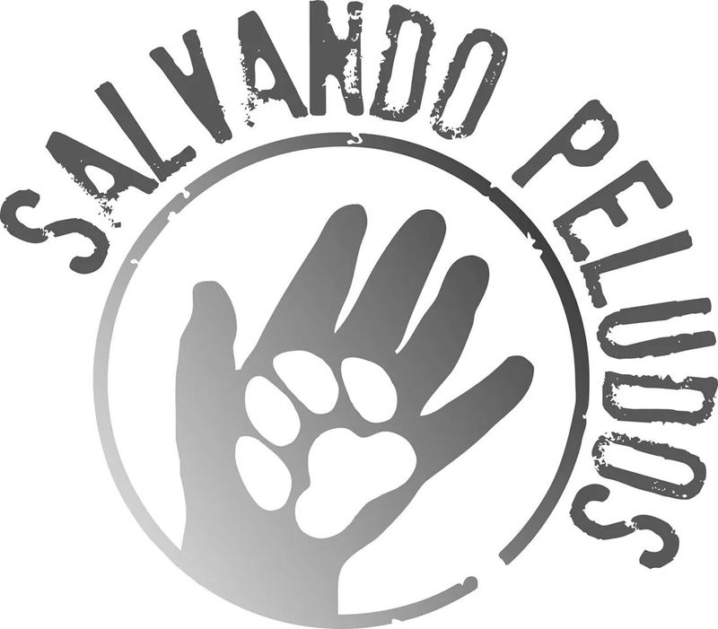 Ayuda para protectora de animales El Campito Salvando Peludos