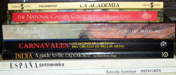 Lote Nº 6 de Libros culturales.