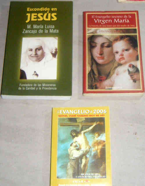 Lote de 2 Novelas Religiosas y 1 Libro del Evangelio. (Leer bien)