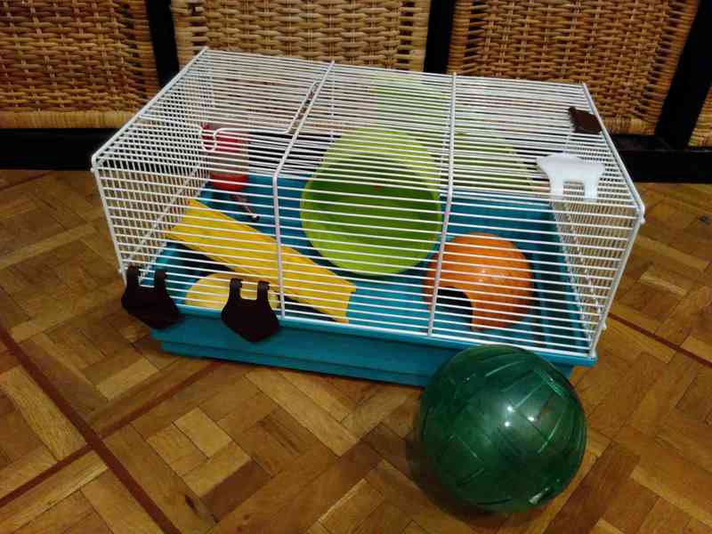 Regalo jaula con accesorios y bola para hamster