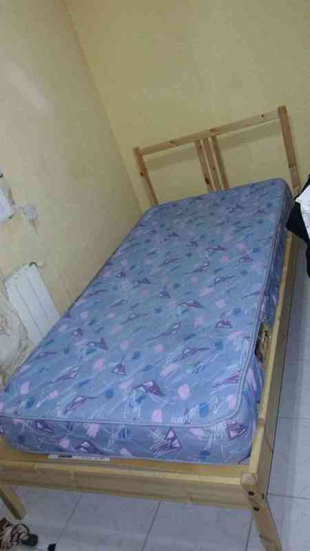 Se regala cama + Colchon 