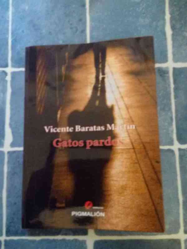 Novela Gatos pardos, de Vicente Baratas Martín