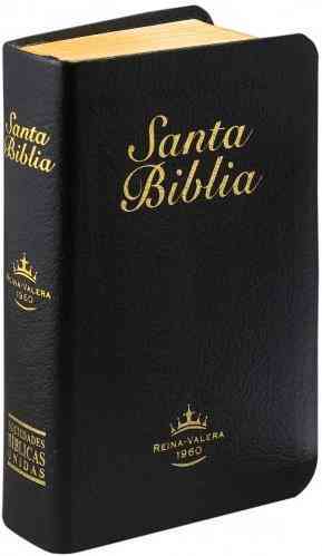 La Santa Biblia