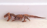 Esqueleto tiranosaurus rex 