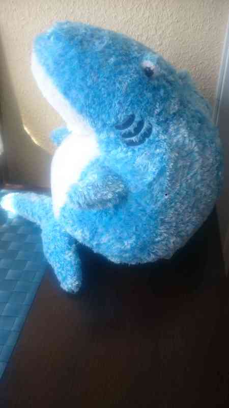 Regalo peluche