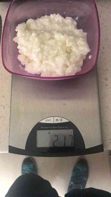 Regalo Kefir de leche.