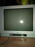 Regalo tv (con culo)  tamaño de pantalla 310x410 