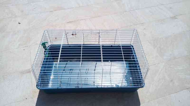 Regalo jaula conejo o cobaya