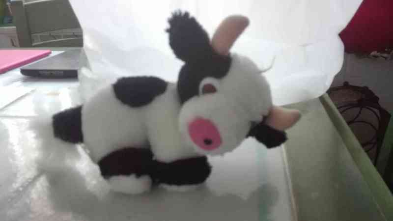 Peluche blanco y negro(gloriosa)