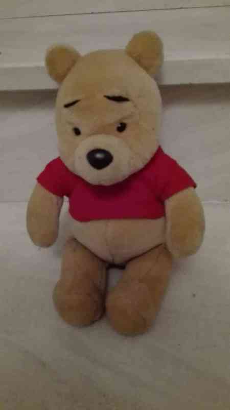 Osito de peluche winnie de pooh(Raquel Sanchez Benito)