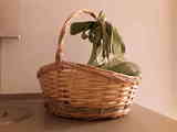 Regalo cesta de mimbre, típica de poner plantas, o para cesta de Navidad