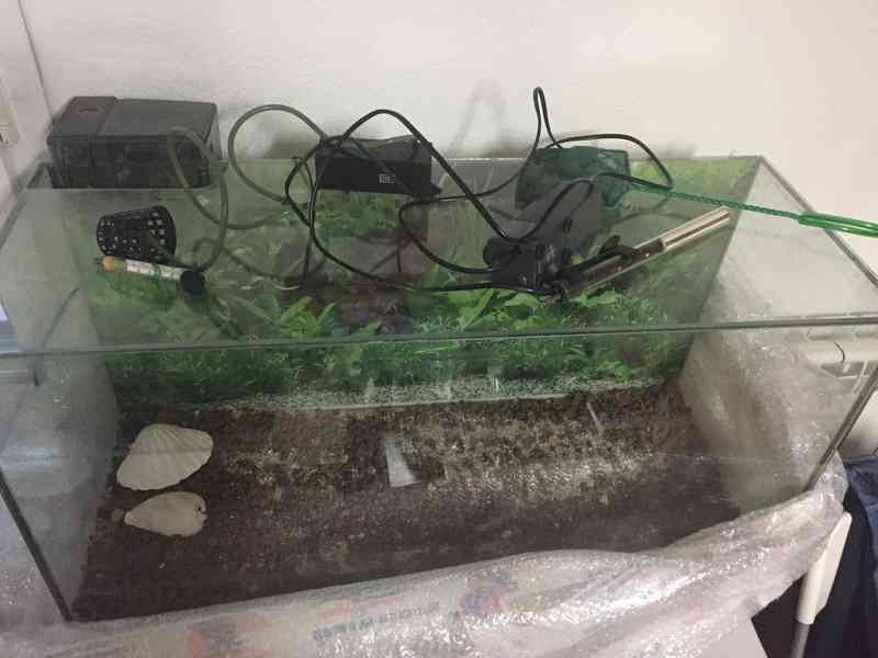 Regalo pecera con algunos accesorios.