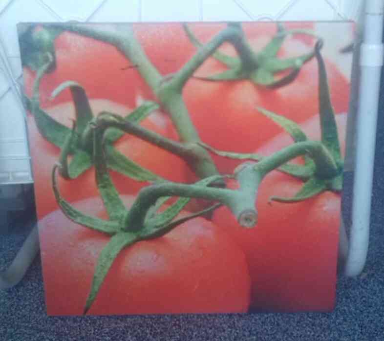 cuadro tomates