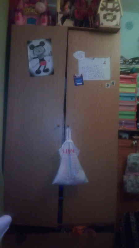 armario dos puertas mueble stanteria para habitación de niña