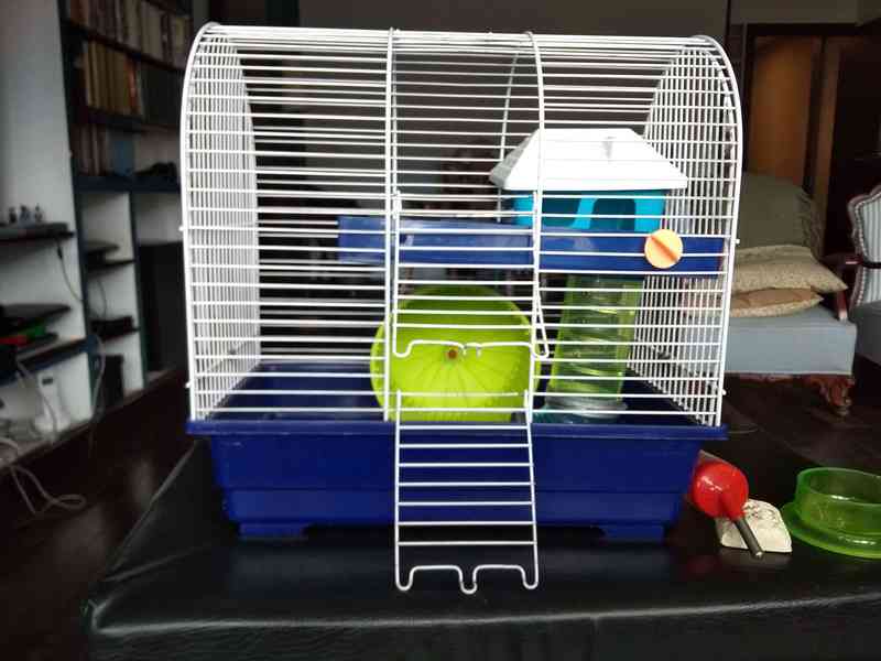 Hamster: jaula y accesorios