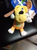 Regalo este peluche 