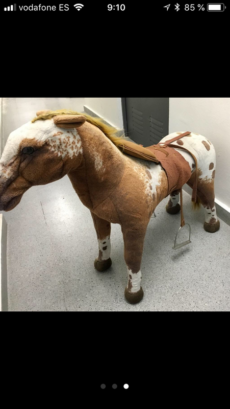 Caballito pony de montar niño grande